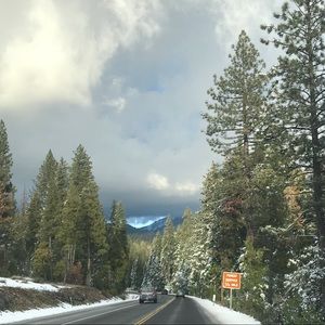 Meet your Posher, Sam